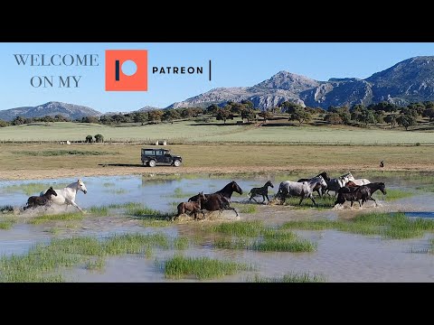 Welcome on my Patreon!