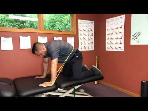 Self Treating the Low Back - Dr. Daniel Leonard - Columbus, Ohio