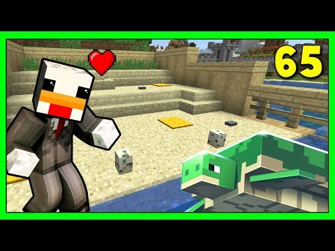 Minecraft - LA CASA DELLE TARTARUGHE #65