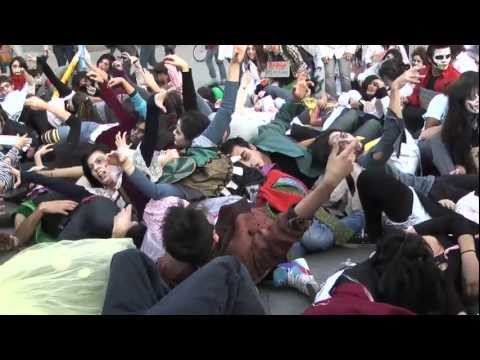 Mi Derecho - corto sobre las manifestaciones estudiantiles 2011