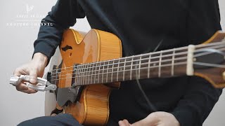 - The Bass player brought his guitar to the gig by mistake.