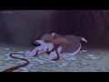 Rover Dangerfield Rover Vs The Wolves