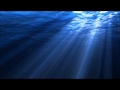 Aarktica - Ocean 