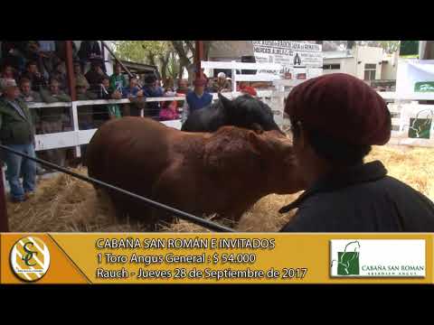 28-09-17 Venta de Toros - Cabaña San Román e Invitados - Rauch