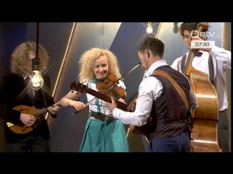 CURLY STRINGS "Kõrbetorm"