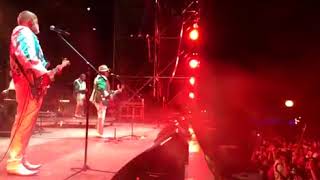 RAMITO DE VIOLETAS EN VIVO EN EL MACHACA FEST