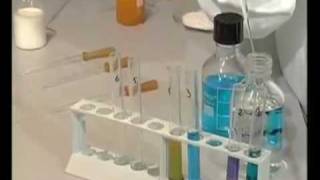 Idee della chimica - I saggi di riconoscimento degli alimenti