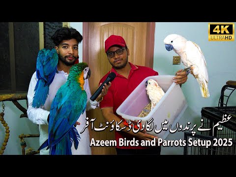 Azeem Birds and Parrots Setup 2025 Karachi | عظیم نے لگادی پرندوں پر دسکائونٹ آفر