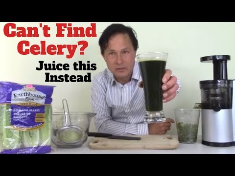 download lagu mp3 mp4 Celery Substitute, download lagu Celery Substitute gratis, unduh video klip Celery Substitute