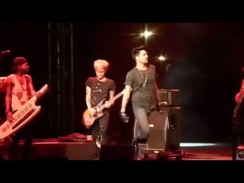 Adam- Purple Haze (Del Mar County Fair 07.02.2013)