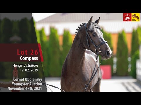 Youngster Auktion Lot 26 Compass Hengst v. Comme il faut NRW -  Kannan