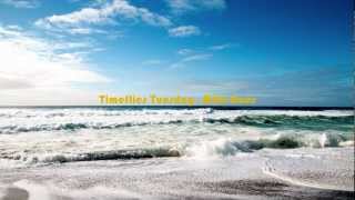 Timeflies Tuesday - Wild Ones