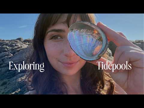 Snorkeling the Intertidal: Sea Stars, Octopus & Sea Slugs