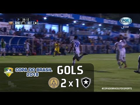 Aparecidense 2 x 1 Botafogo - Copa do Brasil 2018