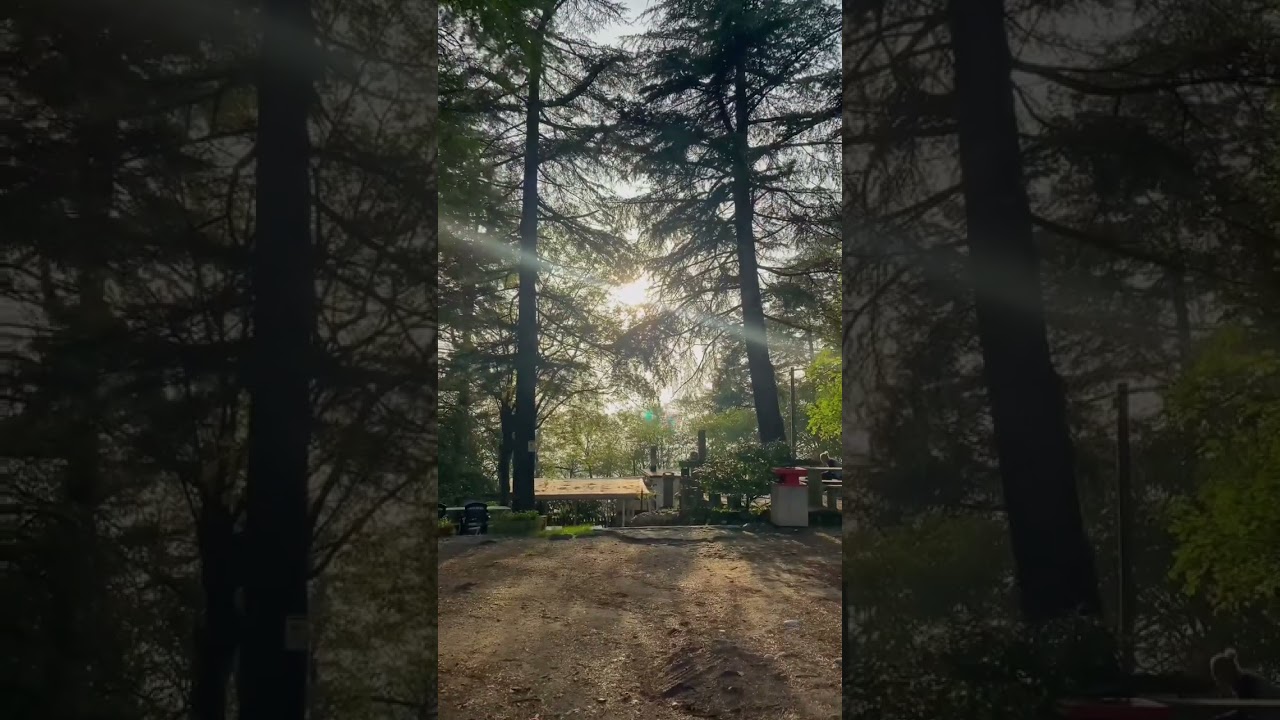 YouTube Short thumbnail