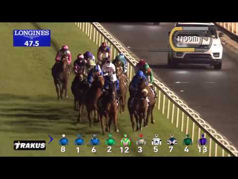 DWC 2016 Race 7 - Dubai Turf Sponsored By DP World