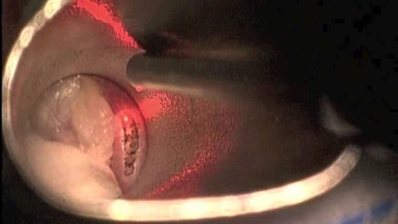 Pablo Ortiz García-14