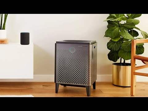 The Best Air Purifiers for 2022