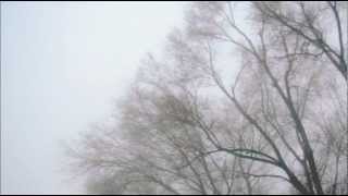 Cindytalk - On Snowmoor