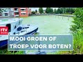De sloten kleuren groen & een baanwissel voor de boswachter | Drenthe Nu 11 augustus 2021
