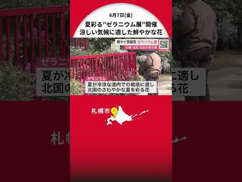 美しいマリーゴールドゼラニウムが家庭菜園の野菜を害虫から守る方法