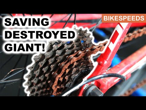 Giant Defy Road Bike Full Service Rebuild Restoration!