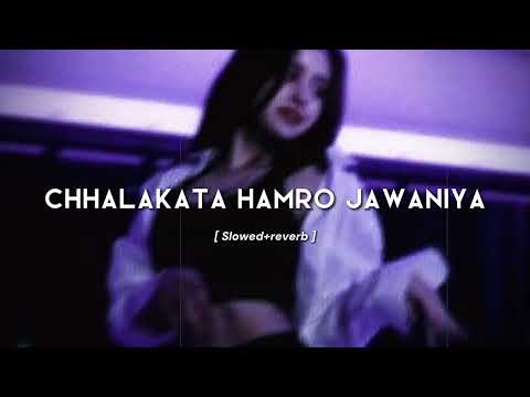 Chhalakata Hamro Jawaniya (slowed+reverb) | Bhojpuri song| Chandan Vibxz