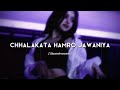 Chhalakata Hamro Jawaniya Slowed Reverb Bhojpuri Song Chandan Vibxz