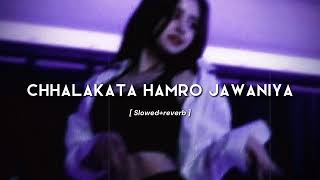 Download lagu Chhalakata Hamro Jawaniya (slowed reverb) | Bhojpuri song| Chandan Vibxz mp3 Download lagu Chhalakata Hamro Jawaniya (slowed reverb) | Bhojpuri song| Chandan Vibxz mp3