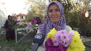 58 yaşındaki kadın çiçek serası hayaline devletten aldığı 720 bin liralık hibeyl