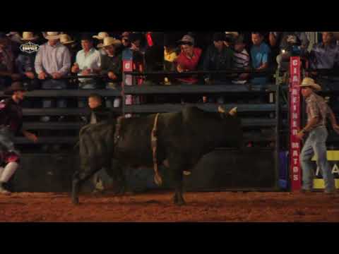 BEST BULL SATURDAY 4th Meeting of Friends of Rinópolis