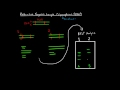 Restriction Fragment Length Polymorphism's