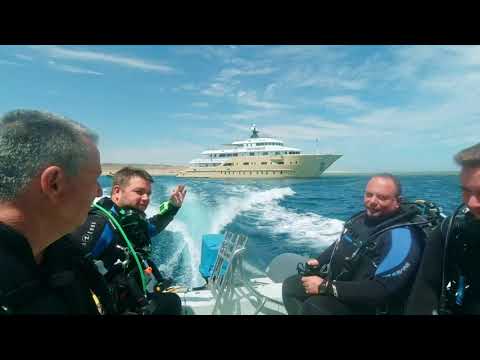 Brothers, Daedalus, Elphinstone (BDE) - Golden Dolphin IV 2023