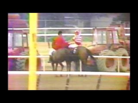 1981 Belmont Stakes Summing : CBS Broadcast