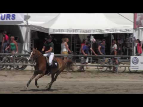 LAMOTTE 2016 CSO EQUIATHLON | Alexandre CAMARA et NINO DE BEL AIR