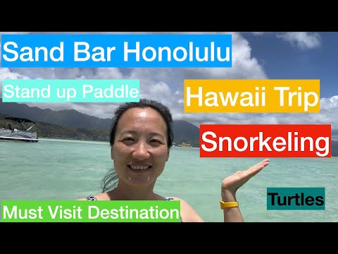 Capitão Bruce Tour para mergulho com snorkel e barco a remo em Sandbar Hawaii