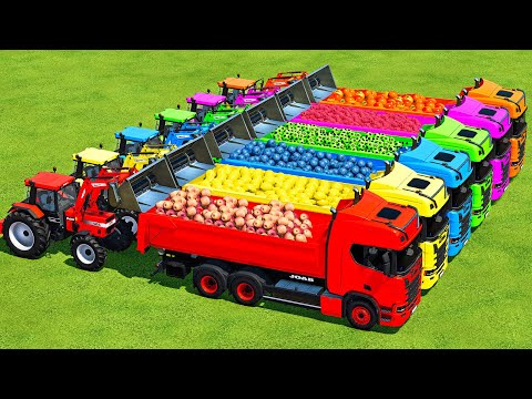 LOAD ORANGES, BLUEBERRIES, APPLES, LEMONS & RASPBERRY WITH COLORED TRUCKS & CASE TRACTORS - FS22