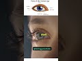 Parts Of The Eye