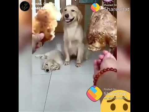 Abdulrahim vadasiruvallur gaming