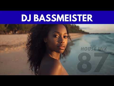 DJ Bassmeister - House Mix Eighty Seven