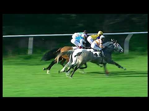 Galoppo 04/01/2021 - 1ª corsa