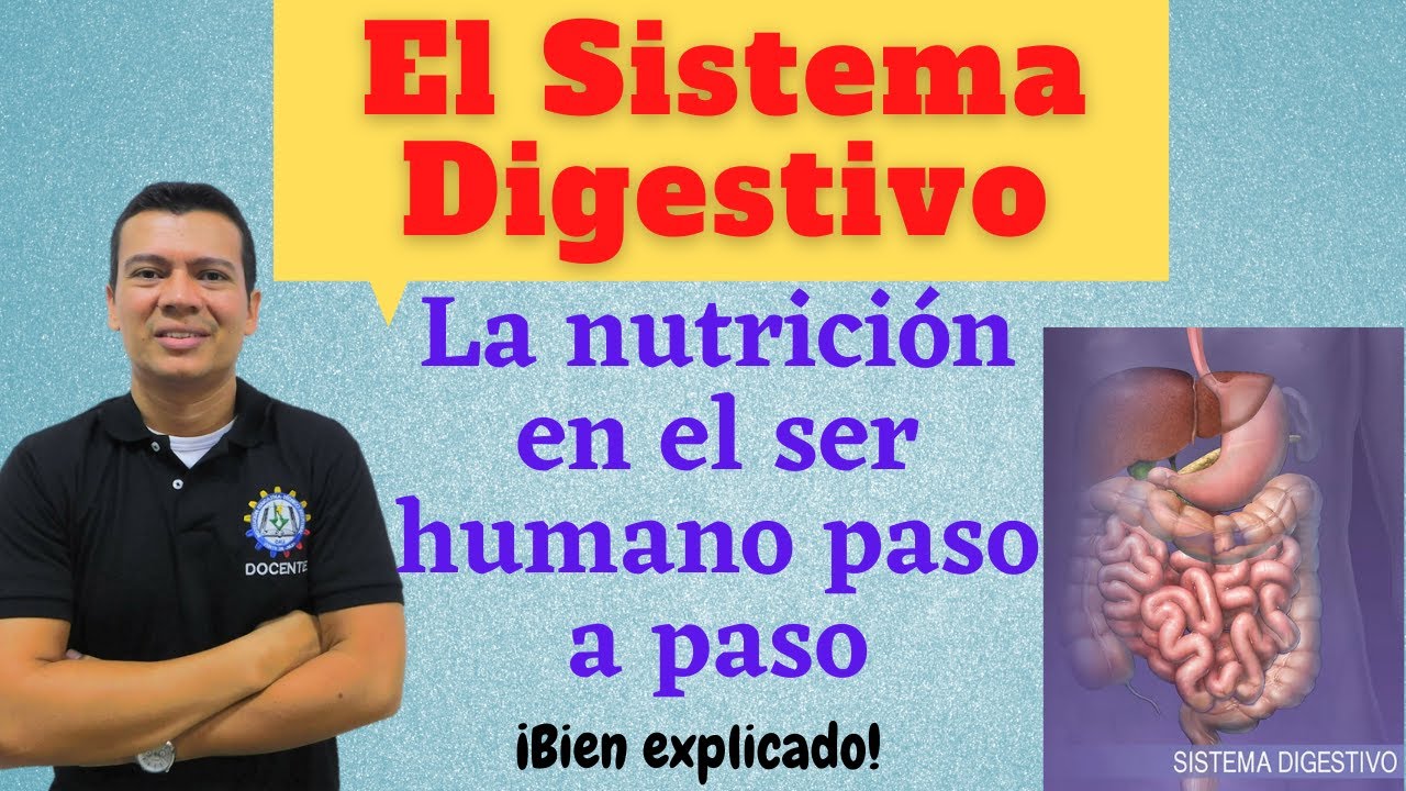 SISTEMA DIGESTIVO. NUTRICION EN EL HOMBRE