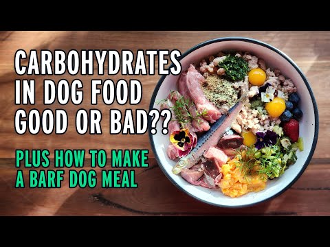 Carbohydrates in Dog Food - Good or Bad? PLUS A Guide to BARF Diet For Dogs