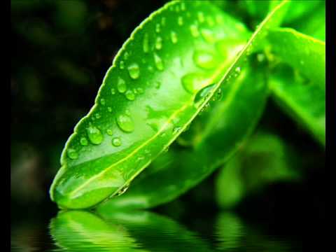 DarkShiRe - Bonne Alchemie.wmv