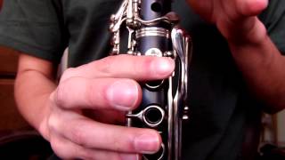 Video thumbnail for Selmer CL301 Soprano Clarinet Demo Video by Earl McEarl