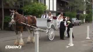 preview picture of video 'Cragun's Wedding Carriage -- Clydesdale Style!'