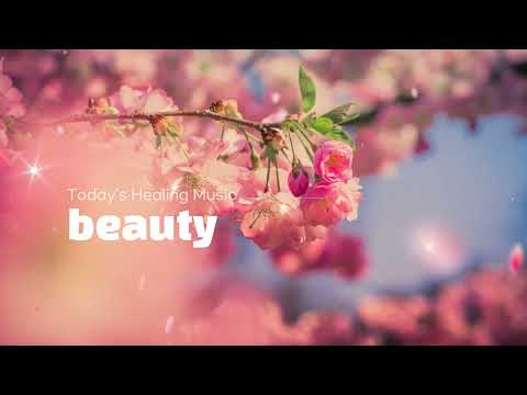 beauty 🌷| BGM | backgroundmusic | 편안한 | 행복 | 로맨틱 | 감성적 | 사랑스러운 | 꽃 | 봄