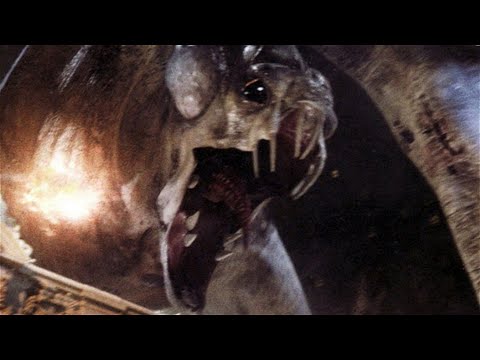 Der Wissenschaftliche Grund Wieso Dieser Horrorfilm Dir Magenschmerzen Gibt