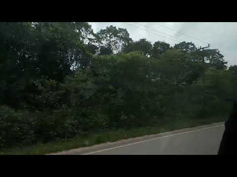 Viajando em Barcarena para Abaetetuba (Carro) | 30/11/2025 (2/2)