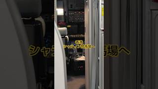 香港シャティン競馬場へ出発  浪漫戰士  #shorts